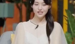 張恒爆料最新錄音,揭秘娛樂圈驚天秘密