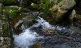 泉水在線觀看,探尋自然之美，感受詩意流淌