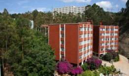 忻州師范爆料事件最新進展,最新進展揭示驚人內幕