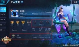 王者圈內爆料怎么看的,游戲內幕大起底