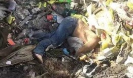 新聞爆料大車車禍視頻,事故原因引關(guān)注