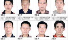 舉報新聞爆料平臺,助力社會正義，守護網絡清朗