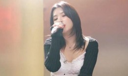 田小娟爆料新歌視頻,音樂盛宴即將開啟，獨家視頻揭秘創作靈感