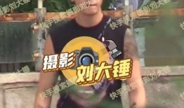 劉大錘爆料王鶴立視頻,網友熱議