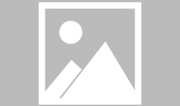 記者爆料敘利亞事件視頻,記者獨家視頻揭露殘酷真相