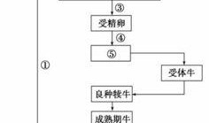 工廠生產食品爆料流程視頻,爆料視頻深度解析