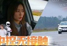 旅途哥最新大爆料,帶你走進不為人知的幕后故事