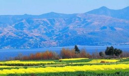 凱凱最新爆料云南,云南風光背后的故事與傳奇