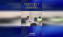 爆料詐騙視頻最新,揭秘詐騙手法，守護您的財產安全
