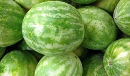 西寧網(wǎng)紅吃瓜群微信,揭秘網(wǎng)絡(luò)社交圈的趣味與爭議