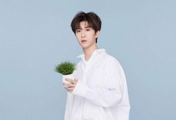 魏大勛爆料范丞丞視頻播放,魏大勛曝范丞丞視頻播放幕后故事