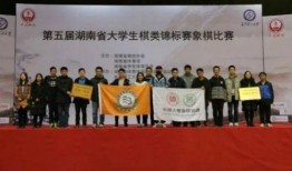 新聞爆料營南匯,揭秘新聞爆料背后的故事與真相