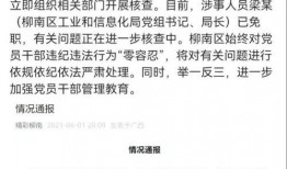 柳州某局長爆料視頻,揭秘背后真相