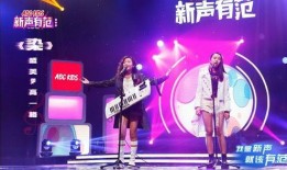 完美拍檔在線觀看地址,在線觀看獨家揭秘，精彩劇情一網打盡！