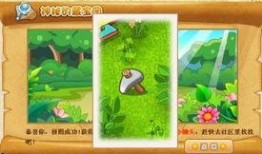 qq免費吃瓜秘密花園,探索秘密花園的神秘魅力