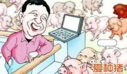 養(yǎng)豬導(dǎo)演爆料視頻播放,視頻播放背后的驚人真相