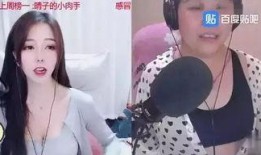 杭州娛樂主播吃瓜事件,揭秘網絡直播界的爭議瞬間
