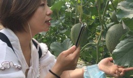 新疆吃瓜網紅是誰啊視頻,視頻走紅背后的故事