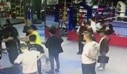 劉二狗最新爆料,揭秘娛樂圈最新猛料！