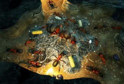 地下蟻國最新版本爆料,揭秘最新版本中的神秘蟻國世界