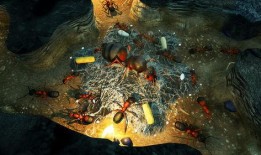 地下蟻國最新版本爆料,揭秘最新版本中的神秘蟻國世界