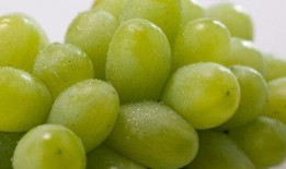 網紅提子最新爆料新聞,揭秘娛樂圈驚人內幕