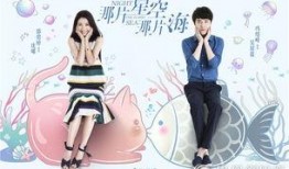 那片星空那片海在線觀看,浪漫星空下的愛情傳奇