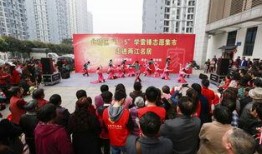 北碚志愿者爆料事件視頻,真相與爭議交織的公益風波