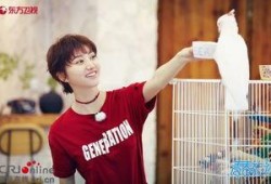 娛樂(lè)吃瓜社王源,娛樂(lè)圈的甜蜜瓜果，揭秘他的成長(zhǎng)與蛻變