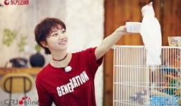 娛樂吃瓜社王源,娛樂圈的甜蜜瓜果，揭秘他的成長(zhǎng)與蛻變