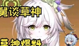 原神爆料的4分鐘視頻,4分鐘視頻揭秘神秘元素與冒險之旅