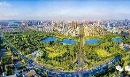 合肥高新區最新爆料,科技新城崛起，創新引擎全速運轉