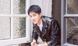 娛樂圈爆料劉昊然是誰,娛樂圈爆料背后的青春偶像