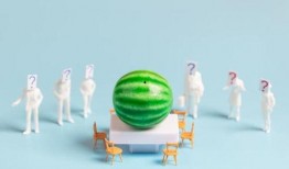 最新娛樂吃瓜匯總,明星秘聞大揭秘，精彩瞬間回顧