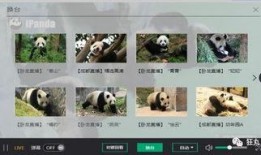 熊貓直播間爆料視頻,爆笑爆料視頻幕后花絮大公開