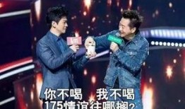 好聲音李建爆料視頻播放,李建爆料視頻播放背后的故事