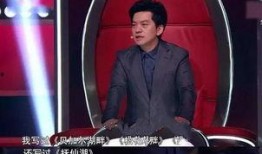 好聲音李建爆料視頻播放,李建爆料視頻播放背后的故事