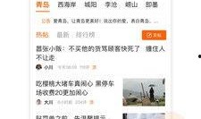 今日青島爆料新聞,驚現神秘事件引發全城熱議