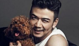 爆料娛樂圈楊爍簡介百度百科,娛樂圈實力派演員的崛起之路