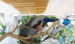 鄭州吃瓜娛樂官網(wǎng),揭秘城市美食與娛樂新風(fēng)向