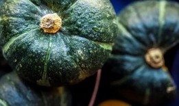 真實緬北免費吃瓜,免費吃瓜背后的真實故事