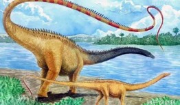 網(wǎng)紅吃瓜恐龍圖片,揭秘網(wǎng)絡(luò)紅人的趣味瞬間