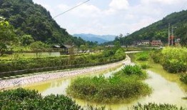 三板溪生態(tài)漁村最新爆料,綠色生活新風(fēng)尚，生態(tài)旅游新亮點(diǎn)”