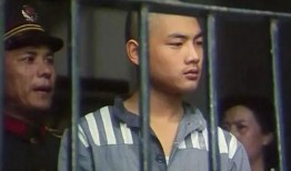 少年犯在線觀看,青春迷途，救贖之路