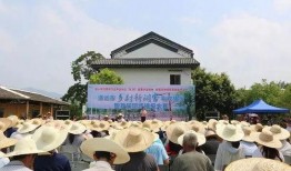 清遠陽山新聞爆料最新,詳情即將揭曉