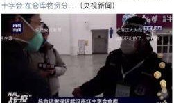 小胖爆料土牛視頻在線觀看,土牛視頻在線觀看，帶你領略獨特魅力