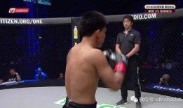 頸爆體育直播在線觀看,暢享精彩賽事，盡在指尖一觸