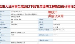 膠州最新爆料消息,揭秘城市發展與民生改善新動態