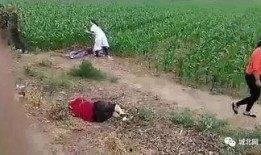 藁城爆料最新事件,突發(fā)沖突引發(fā)社會(huì)關(guān)注