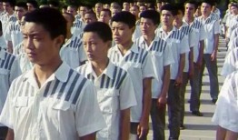 少年犯在線觀看,青春迷途，救贖之路